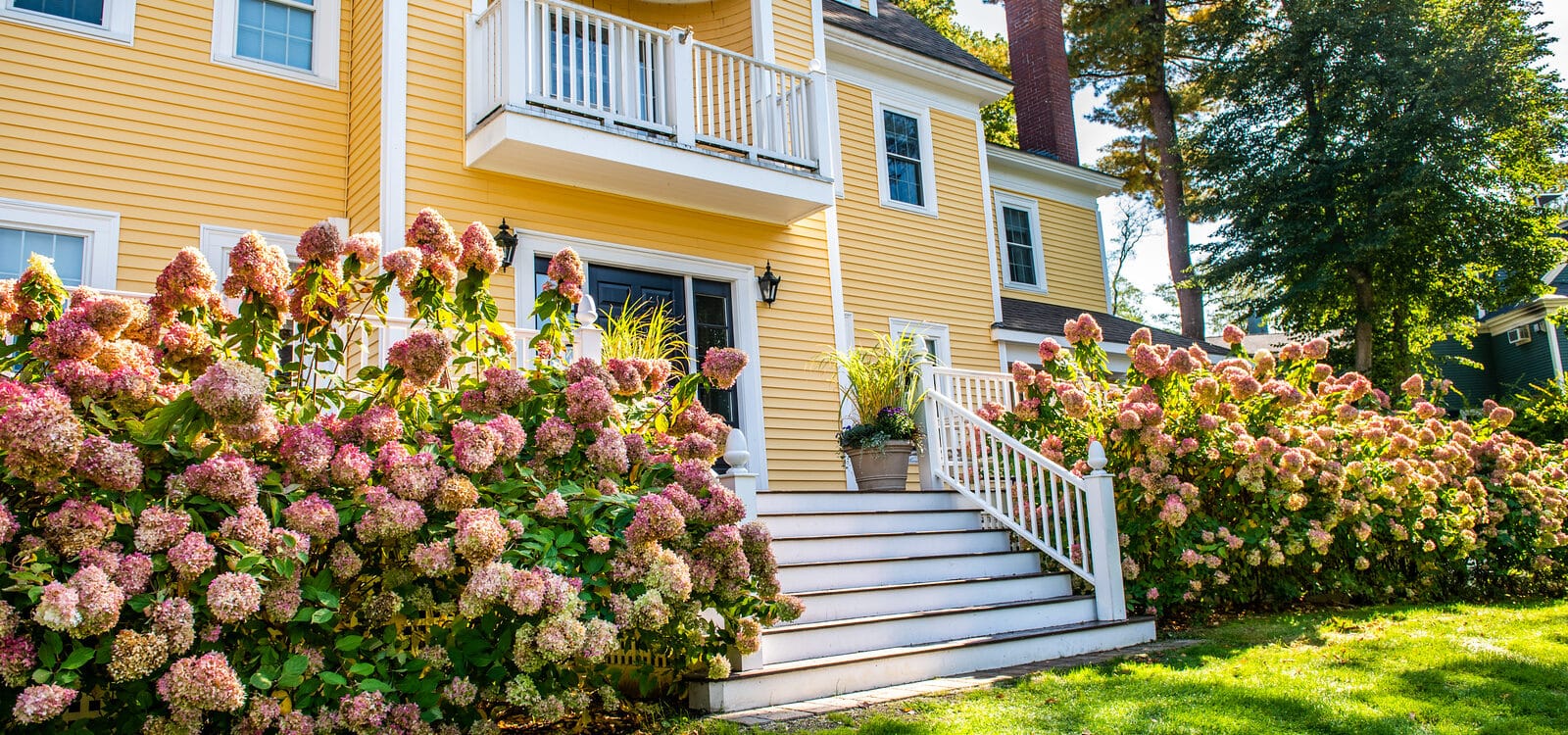 Beautiful flowers in front of a hotel entrance