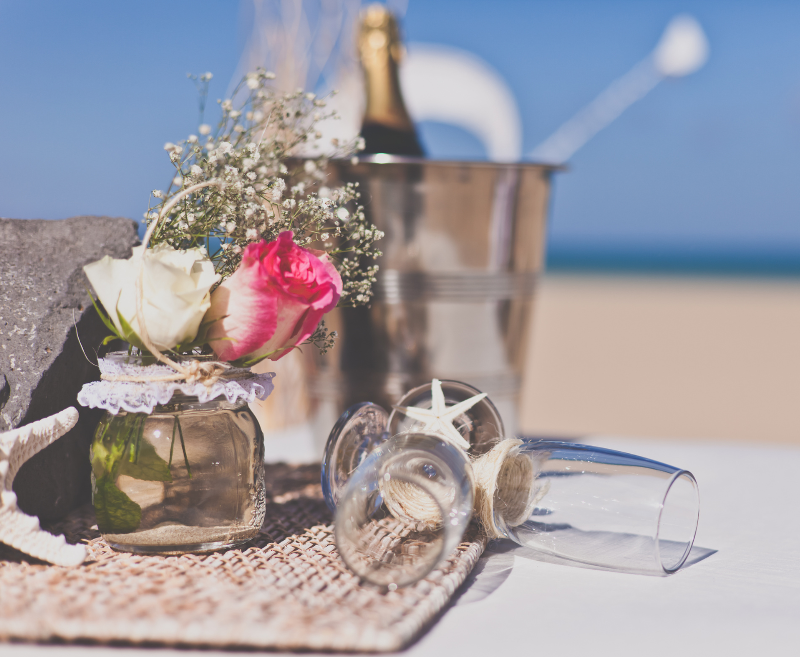 Beach roses champagne