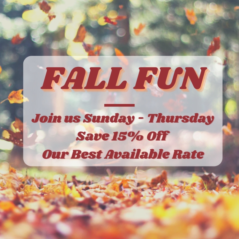 Fall in to Savings fun fun