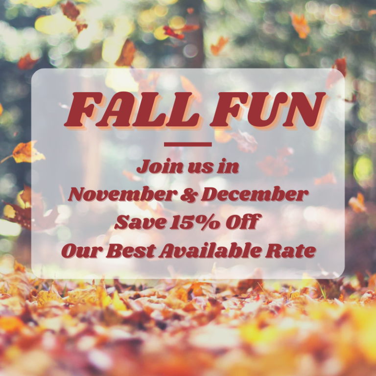 Fall in to Savings fun fun fun fun fun