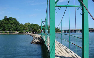Small green suspension bridge over water with green trees in the background